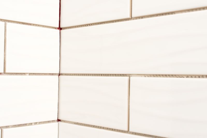 Clean and Fresh Shower Grout